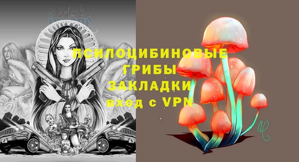 метадон Беломорск